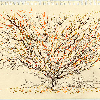 Rencontre à la Maison Germaine Tillion © Damien Roudeau