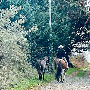 Un cavalier à Kerouzine © Amélie-Anne Chapelain