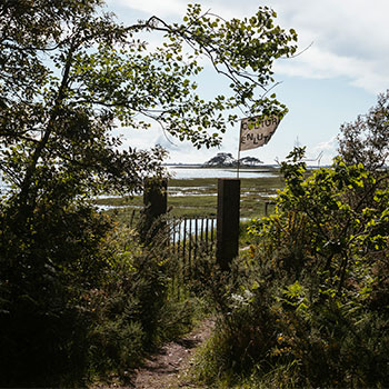 Culture en lutte drapeau © Mathieu Menard